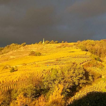 Wine Passion Panoramic Hotel Chavanay ภายนอก รูปภาพ