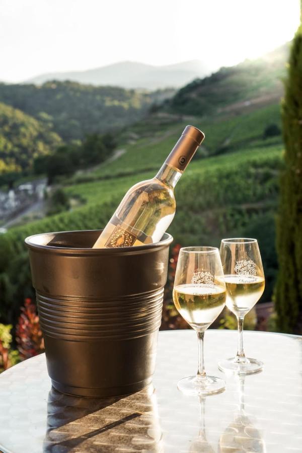 Wine Passion Panoramic Hotel Chavanay ภายนอก รูปภาพ