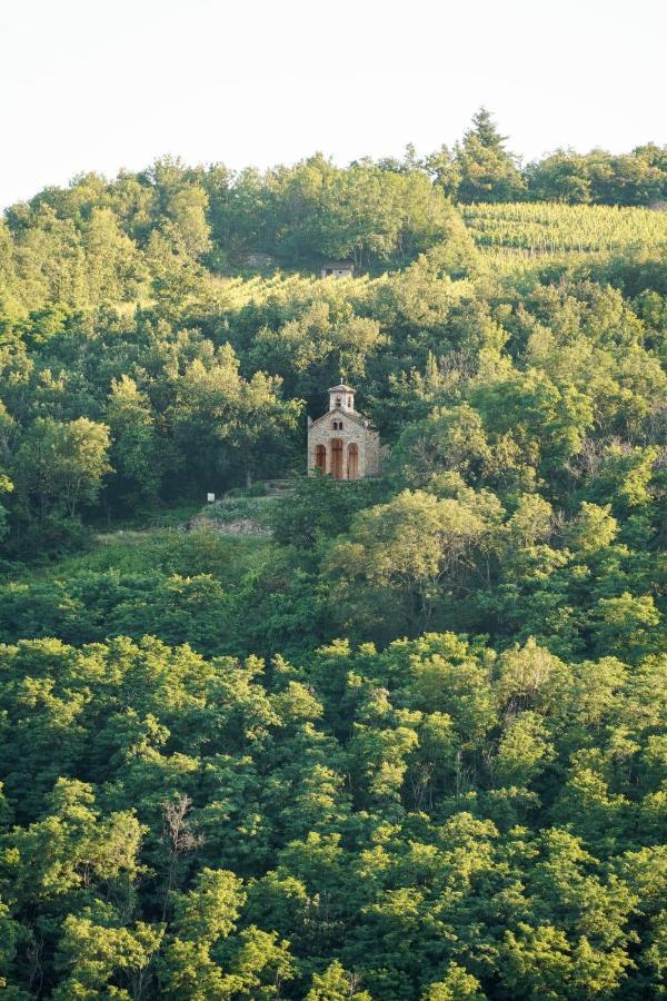 Wine Passion Panoramic Hotel Chavanay ภายนอก รูปภาพ