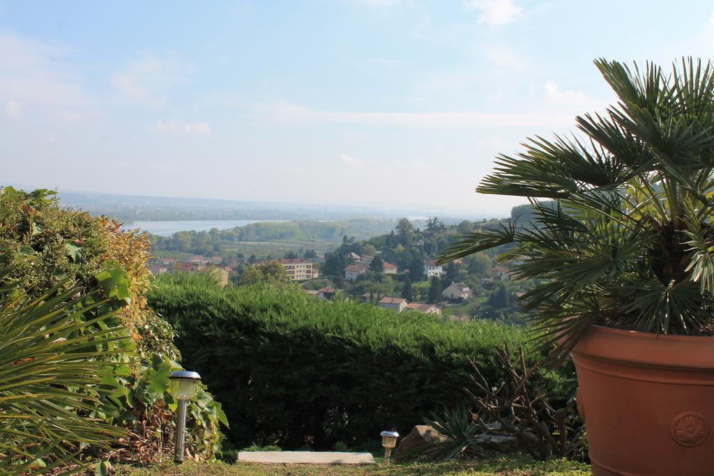 Wine Passion Panoramic Hotel Chavanay ภายนอก รูปภาพ