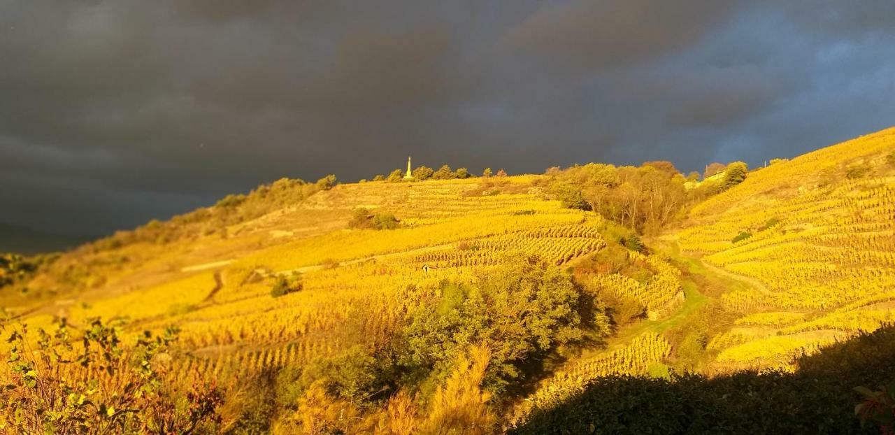 Wine Passion Panoramic Hotel Chavanay ภายนอก รูปภาพ